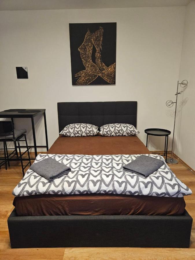 N&Z Apartman Close To The Downtown Apartment บูดาเปสต์ ภายนอก รูปภาพ